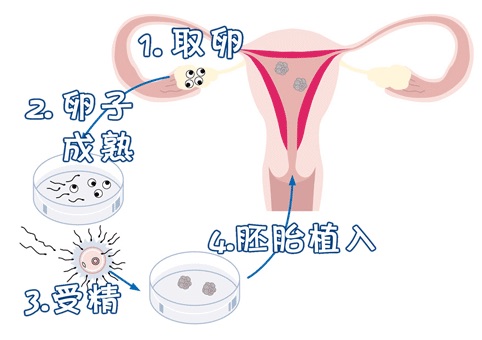 医院环境